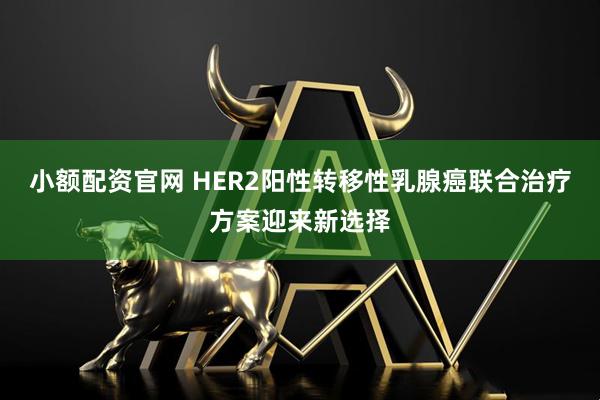 小额配资官网 HER2阳性转移性乳腺癌联合治疗方案迎来新选择